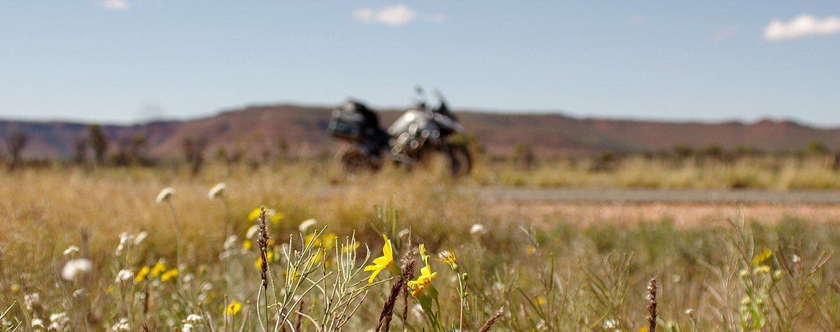 general_1200gs-outbackflowers